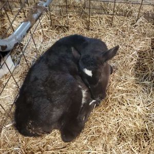 Meet your Posher, Julie